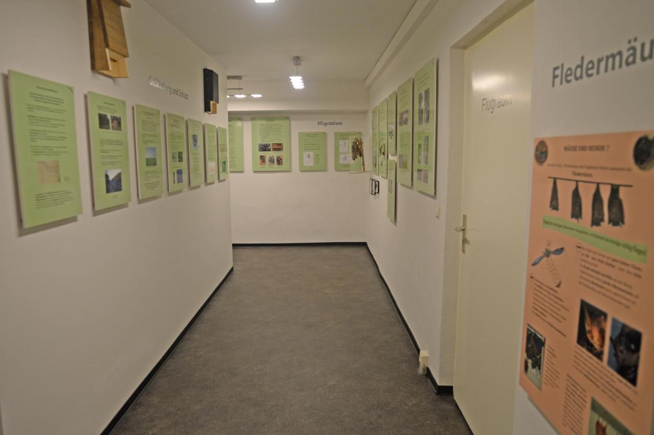 Pension Zur Fledermaus วาเริน ภายนอก รูปภาพ